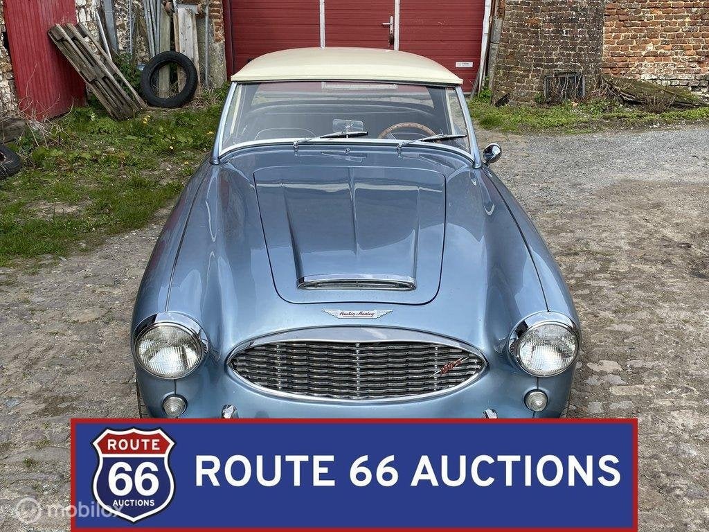 Austin-Healey 100-6 BN4 | 1957 | Route 66 Auctions, Autos, Entreprise, Boîte manuelle, Autre carrosserie, Essence