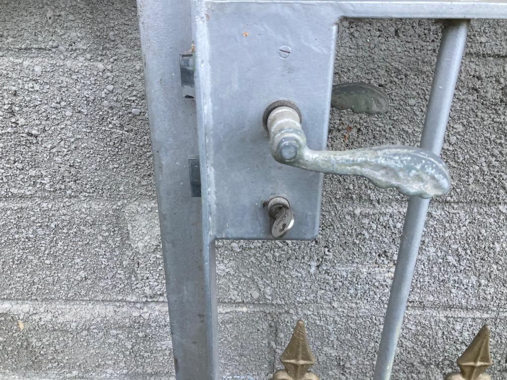 portes en fonte rétro avec serrure fonctionnelle, Enlèvement, Utilisé, Fer, Clôture ornementale
