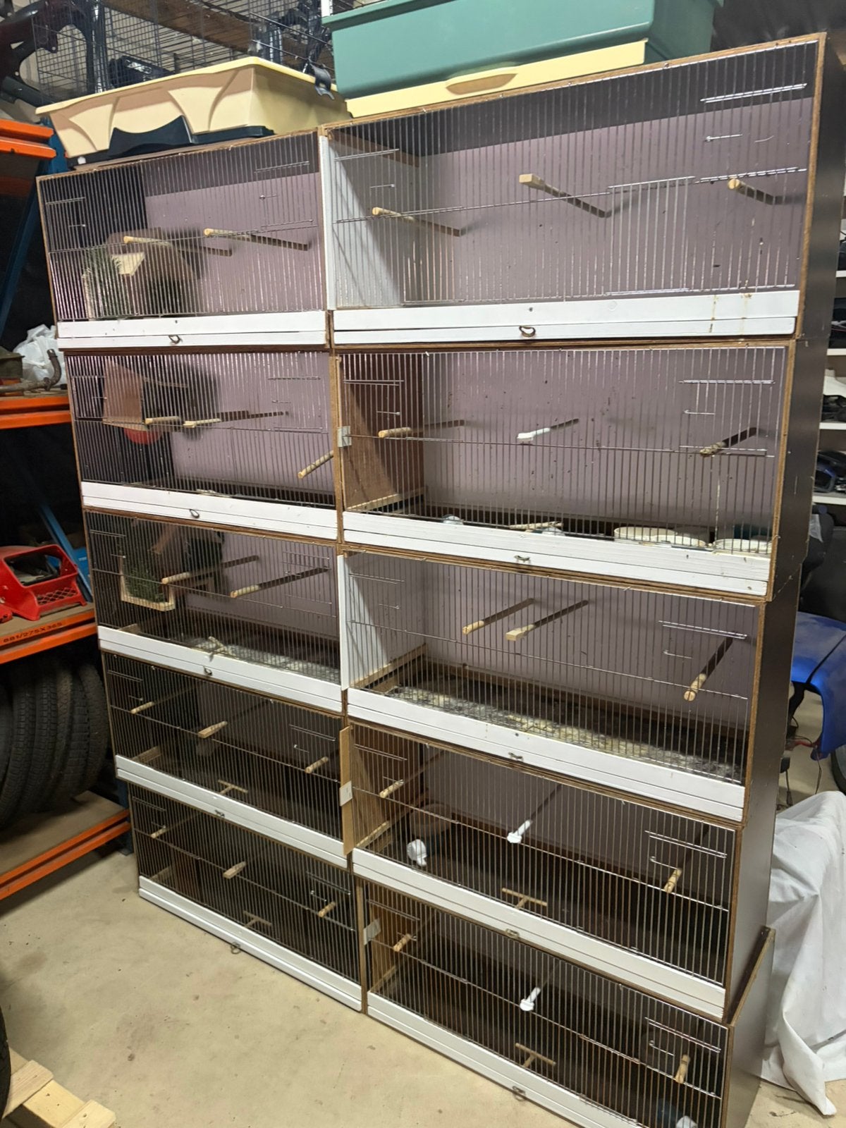 Kweekkooien 150 voor alles 0474842403, Dieren en Toebehoren, Ophalen, Zo goed als nieuw