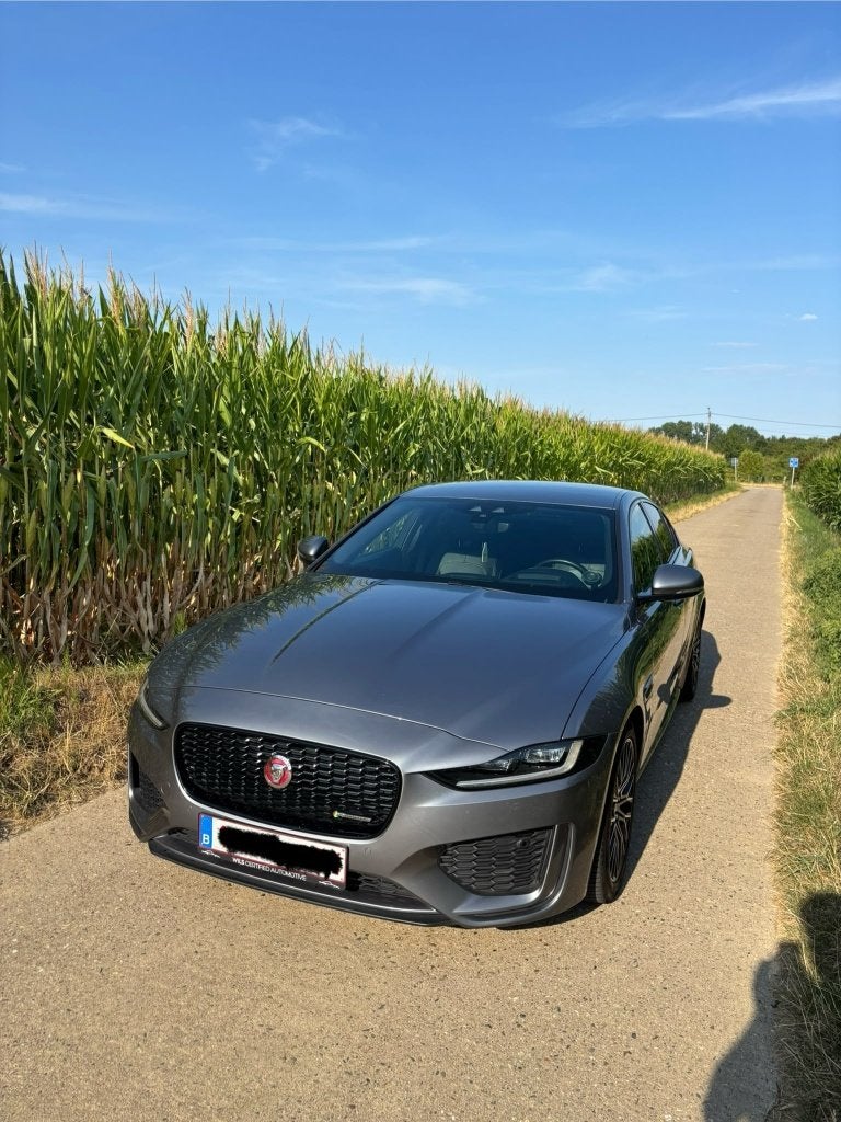Jaguar XE (Nieuwe ketting + ....), Autos, Jaguar, Cuir, Argent ou Gris, Achat, 1611 kg
