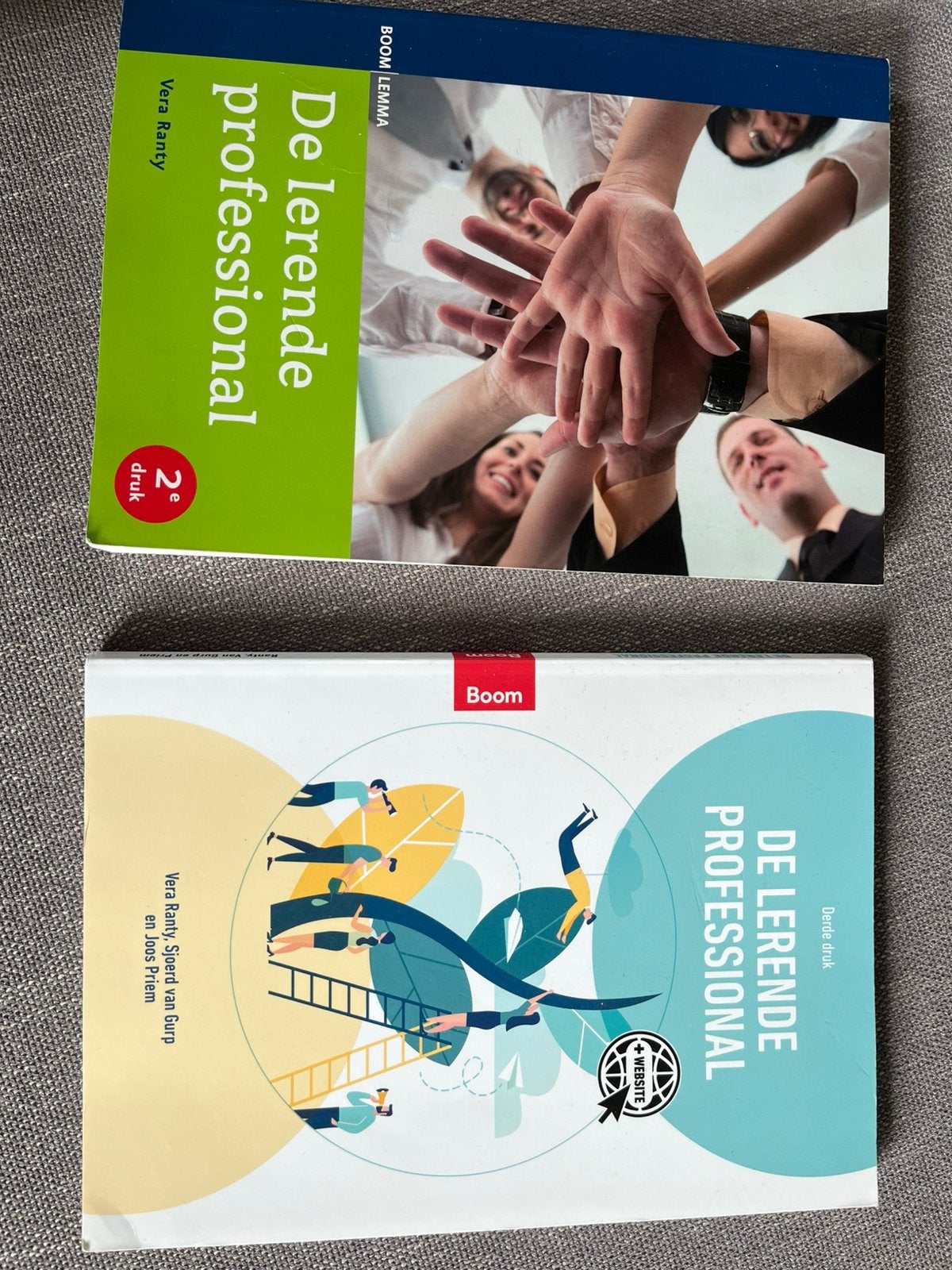 Boek ‘De lerende professional’, 2e en 3e druk, Enlèvement, Comme neuf
