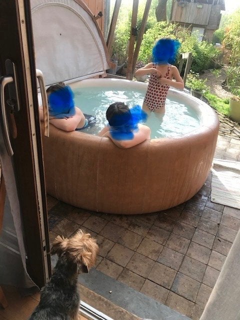 Jacuzzi SOFTUB, Jardin & Terrasse, Bains à remous et Spas, Enlèvement