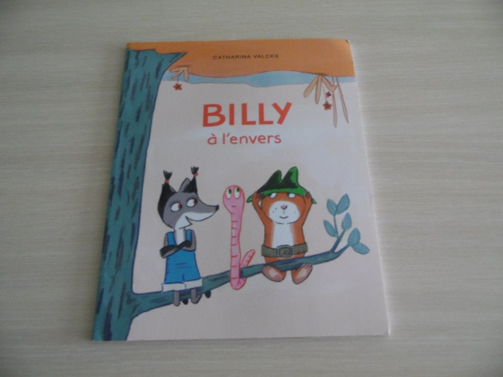 BILLY À L'ENVERS, Fictie algemeen, Jongen of Meisje, Ophalen of Verzenden, Zo goed als nieuw
