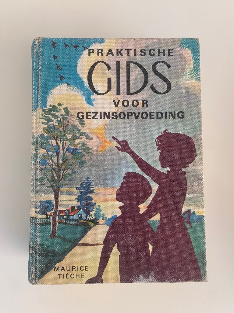 Praktische gids voor gezinsopvoeding, Maurice Tièche, 1972, Livres, Grossesse & Éducation, Enlèvement ou Envoi, Utilisé, Éducation jusqu'à 6 ans