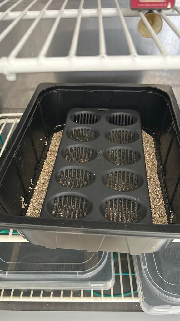 Sanyo incubator voor reptielen eieren., Ophalen, Gebruikt, Broedstoof of Broedmachine