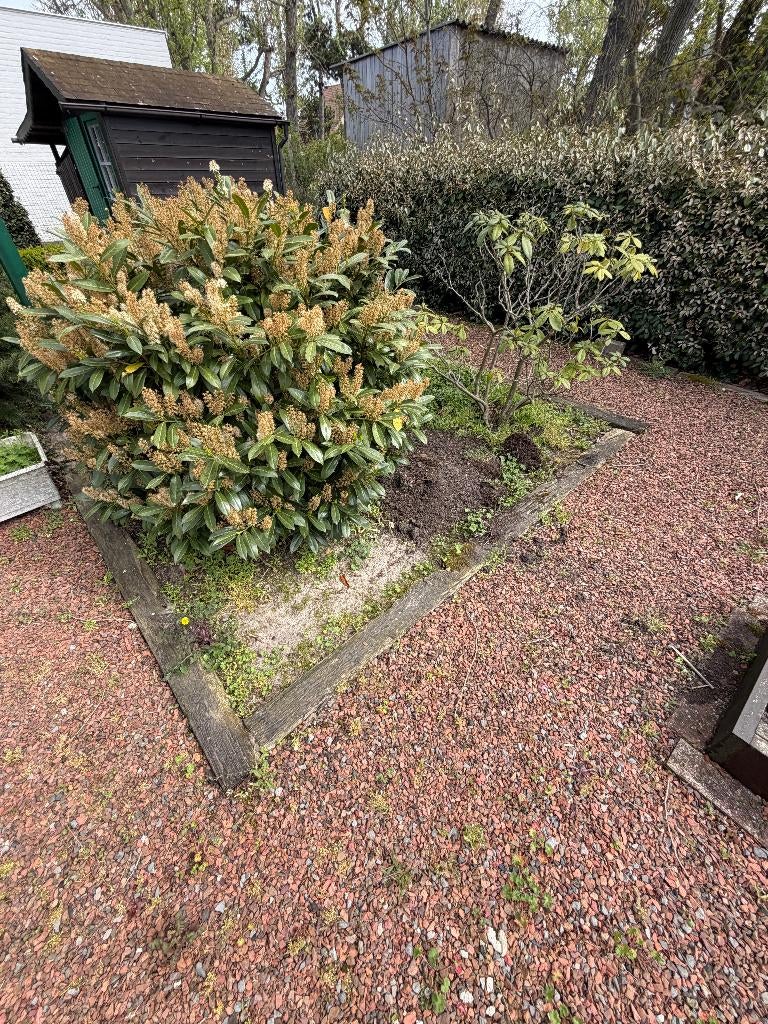 Oude houten bielzen / tuinbalken – gratis af te halen, Ophalen, Blokken