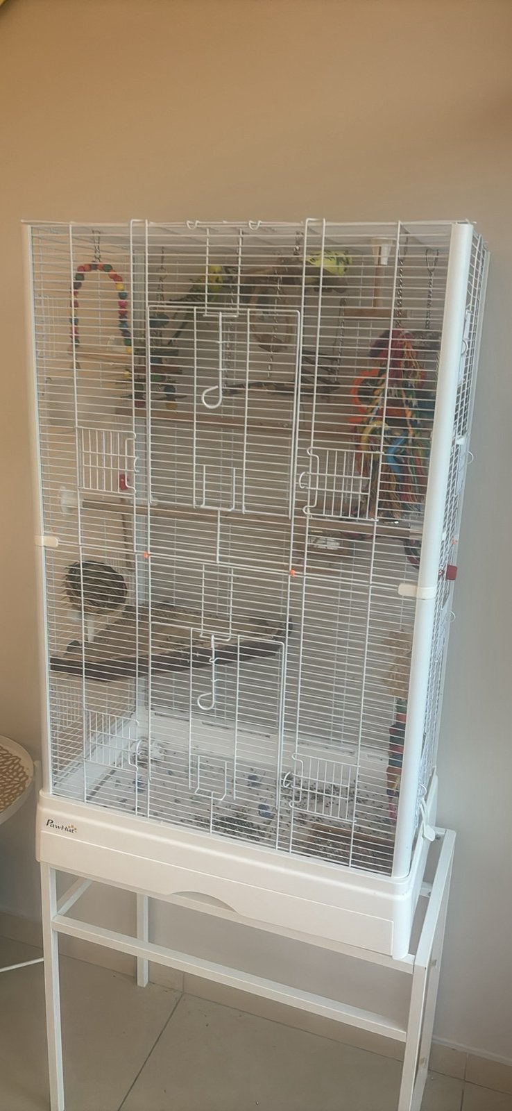 Cage perruche complet avec pied nourriture, Enlèvement, Comme neuf