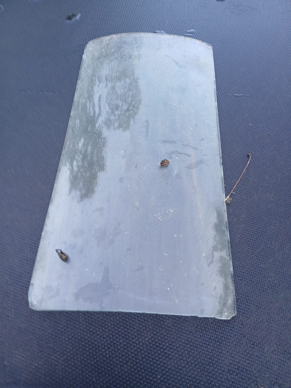 gebogen glas, Serre glas, Ophalen, Glas
