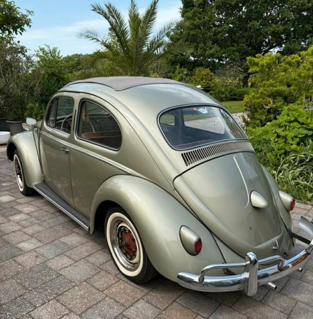 kever vw kafer Coccinelle Beetle volkswagen faltdach1.2 34ps, Autos, Achat, Entreprise, Boîte manuelle, Coccinelle