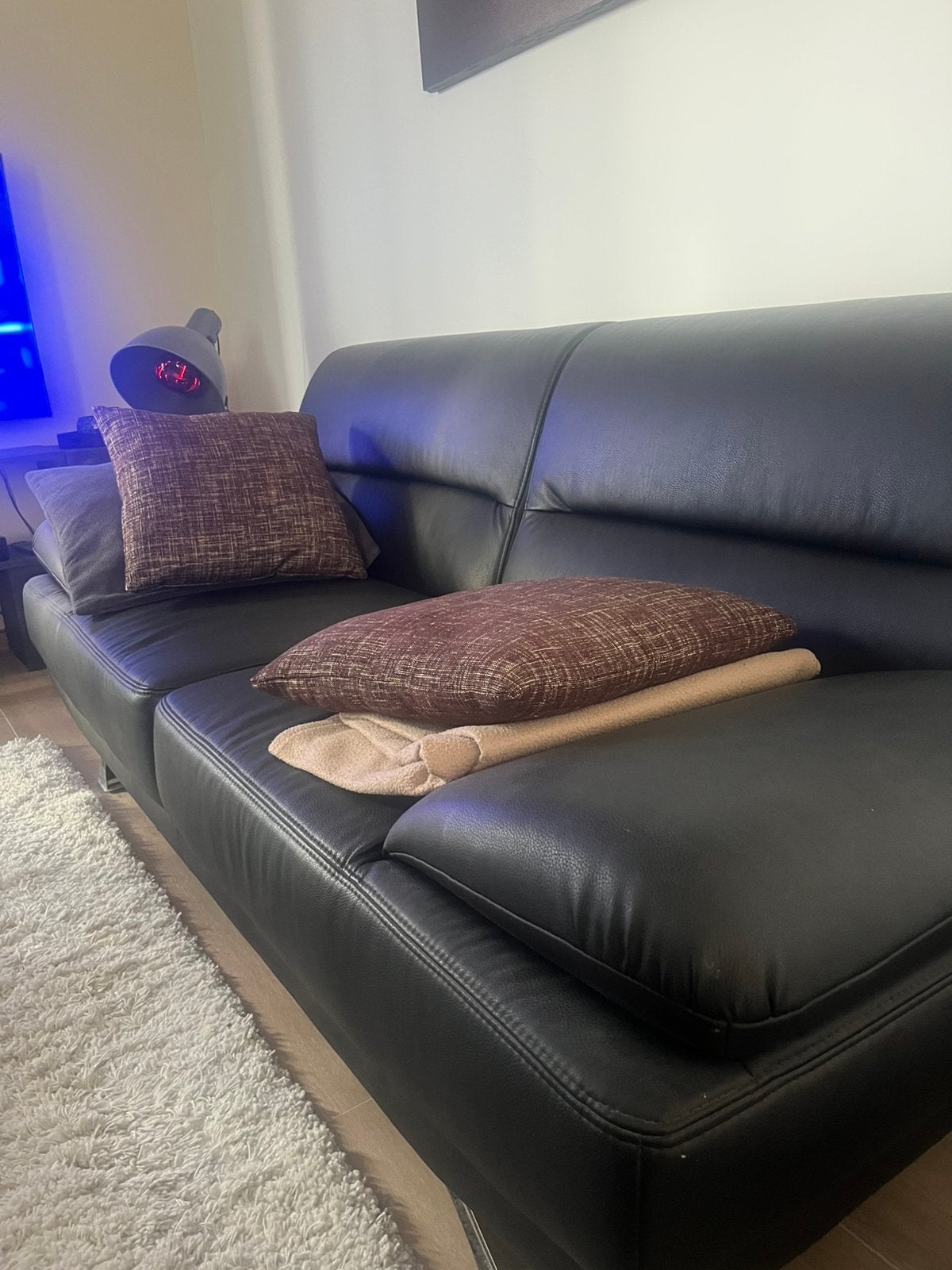 Zetel, Ophalen, Kunststof, 100 tot 125 cm, Tweepersoons