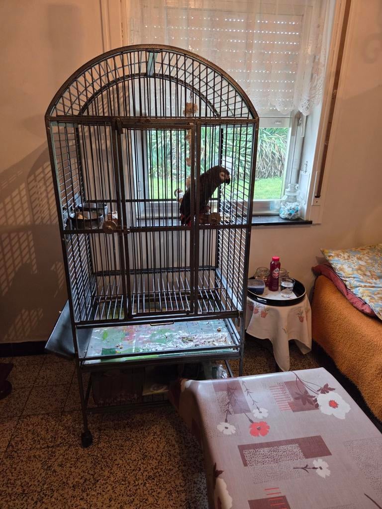 GRANDE CAGE POUR PERROQUET, Dieren en Toebehoren, Vogels | Hokken en Kooien, Zo goed als nieuw, Vogelkooi, Metaal, Ophalen