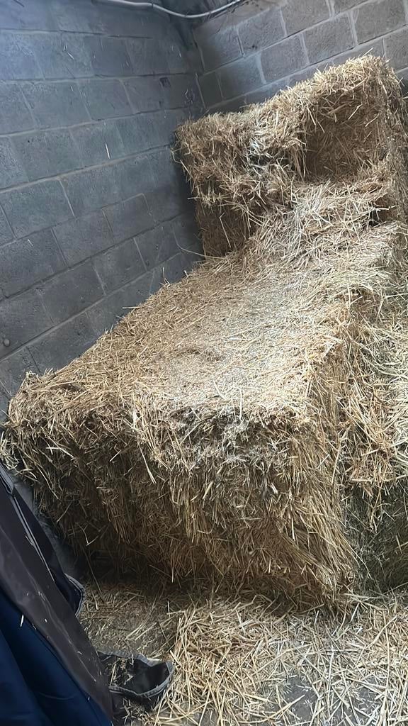 Grote baal goed stro 500kilo en grote baal goed hooi 360kilo, Ophalen, Vee