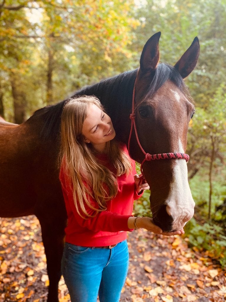 Paard te koop: Weidemaatje, Ruin, Niet van toepassing, 11 jaar of ouder, Recreatiepaard