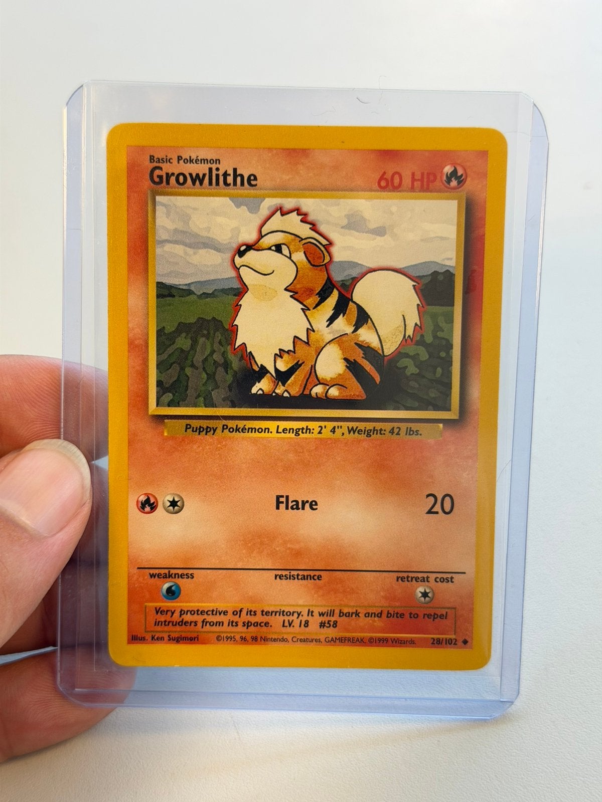 Pokémon Growlithe 28/102 Base Set 1999 Vintage WOTC raw card, Ophalen of Verzenden, Zo goed als nieuw, Losse kaart, Foil