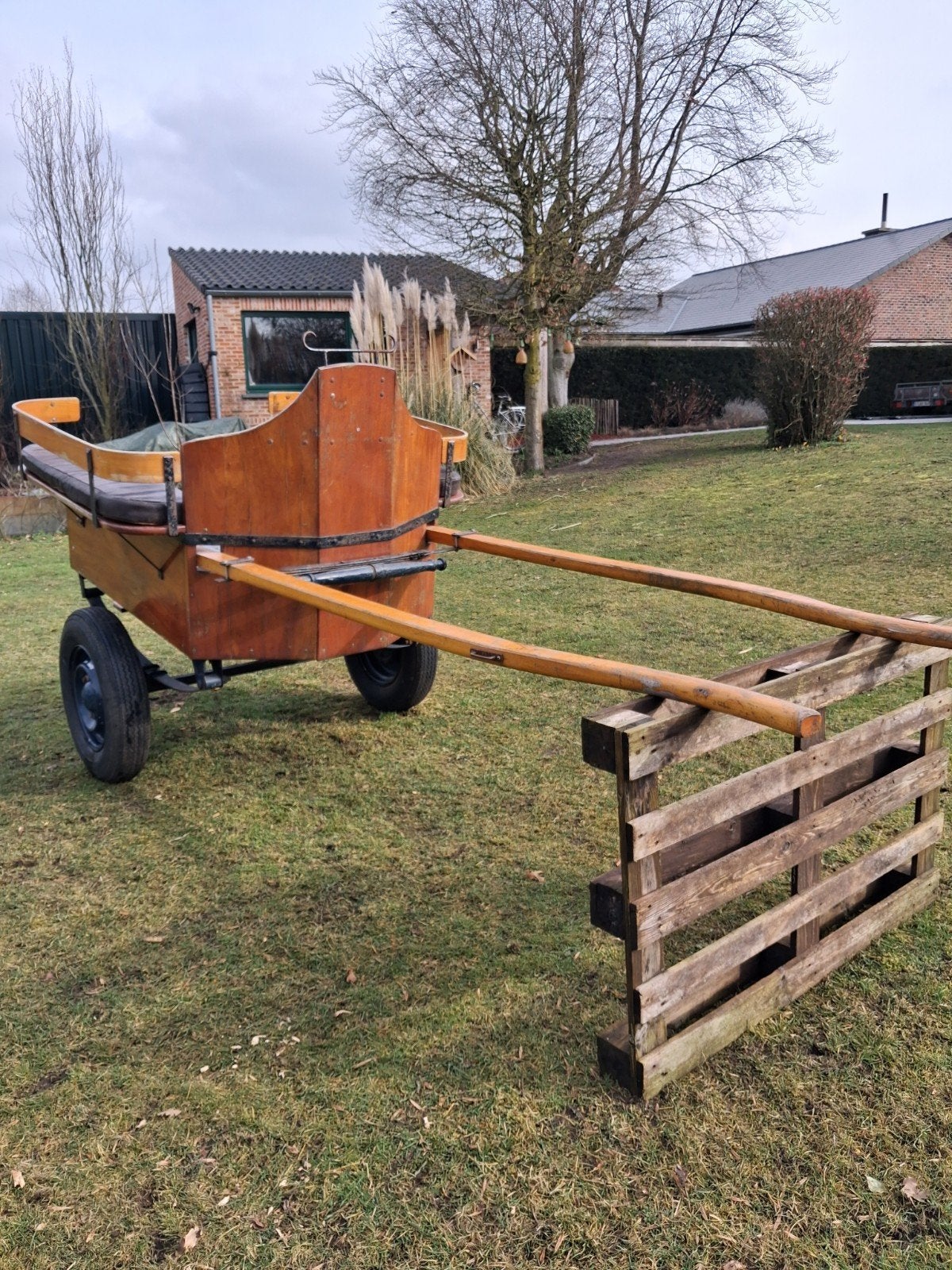 Houten koets, Dieren en Toebehoren, Gebruikt, Paard of Pony