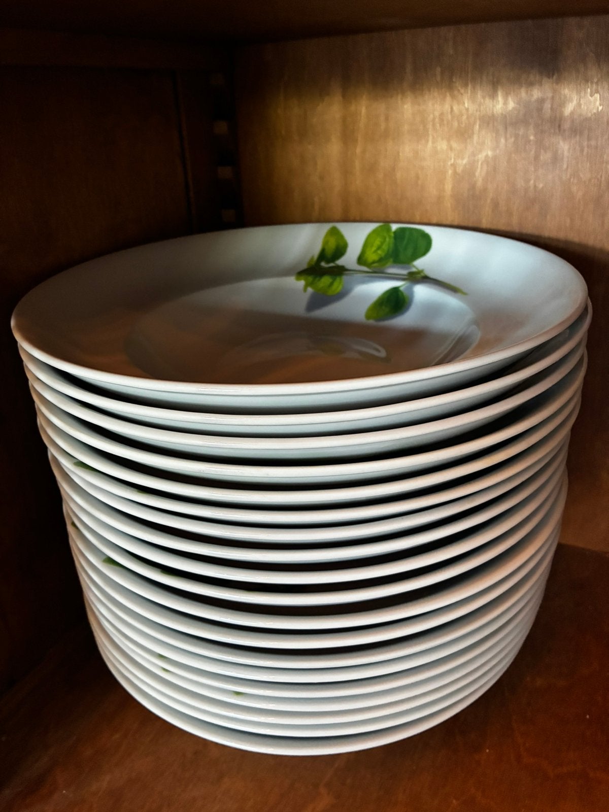 20 Assiettes creuses 30cm de diamètre, Ophalen, Overige merken, Zo goed als nieuw, Bord(en)