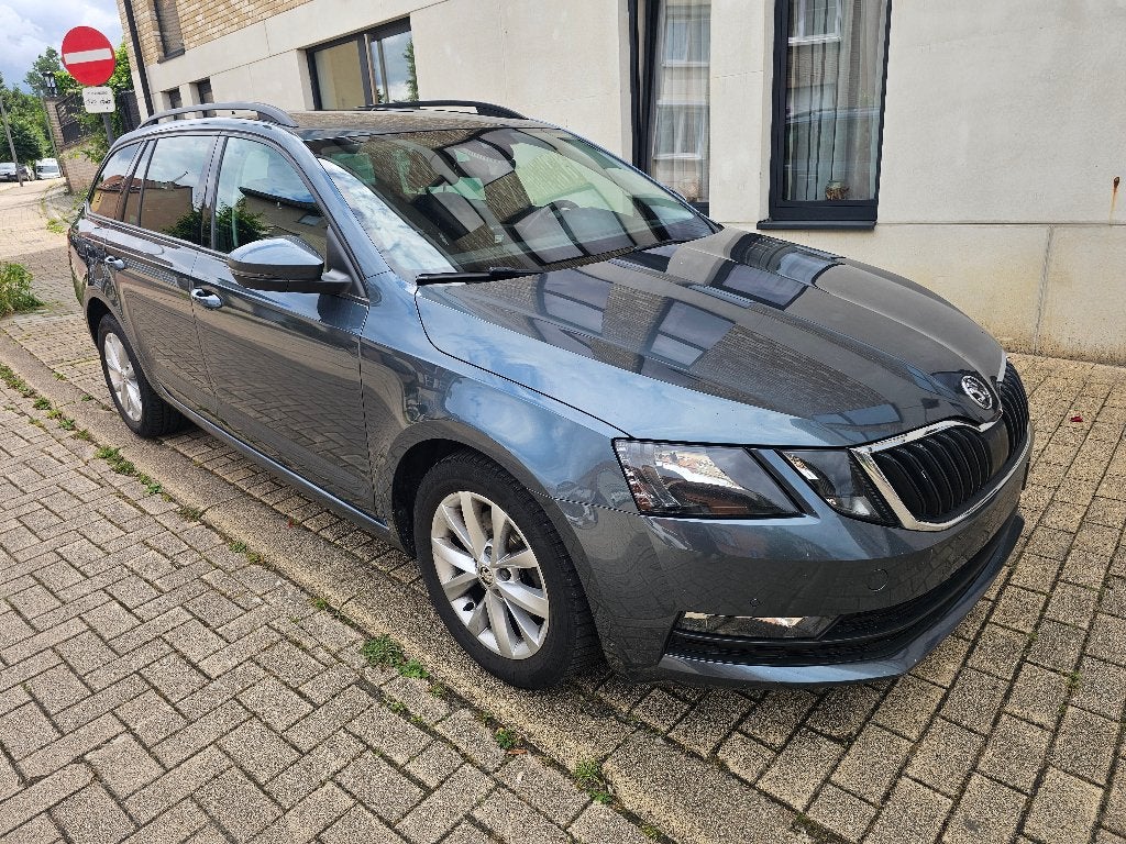 Volledig Instapklare Taxi’s Inclusief Vergunning & Apparatur, Stof, 4 cilinders, 1290 kg, 5 deurs