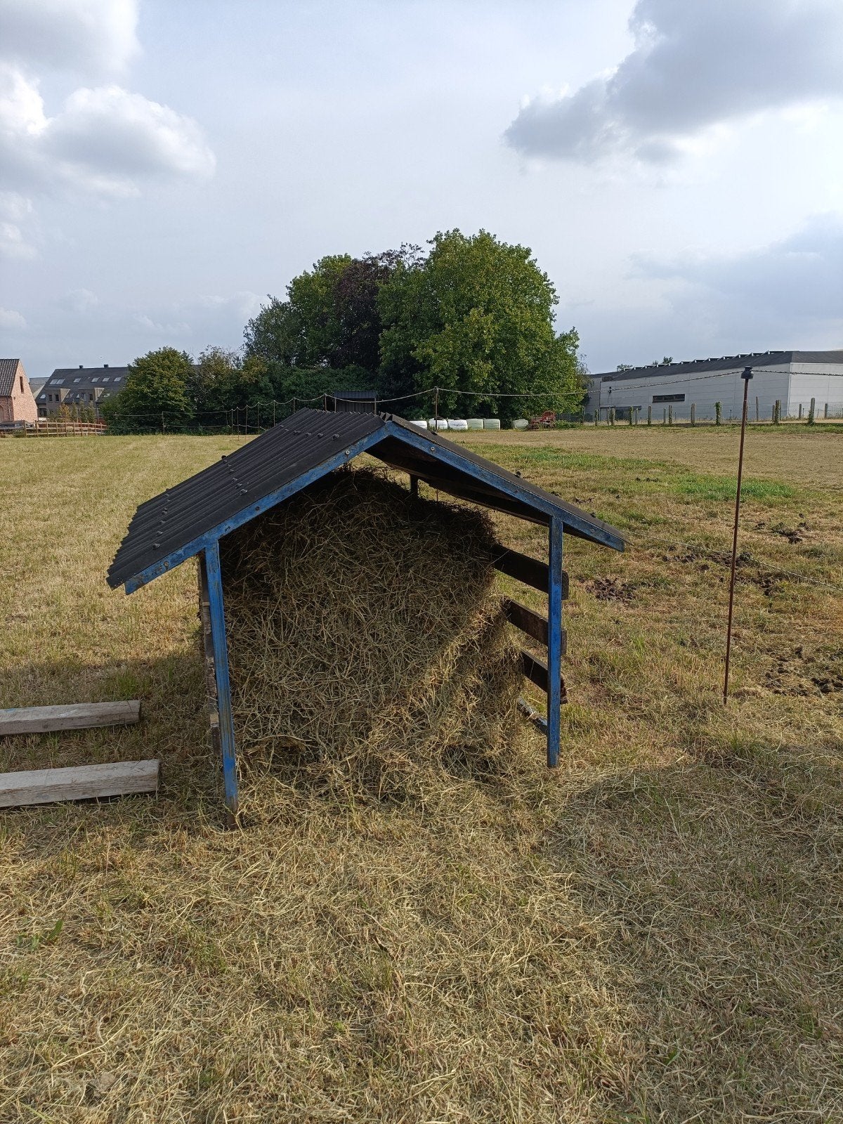 Terug te koop , beschermkap ., Dieren en Toebehoren