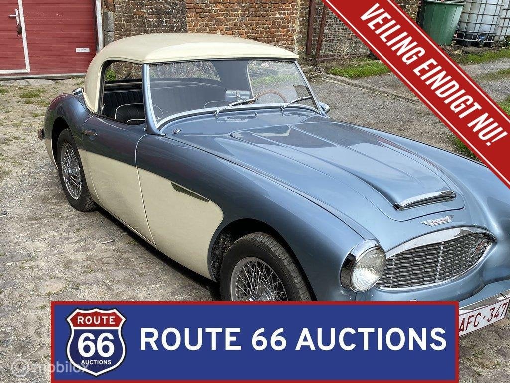 Austin-Healey 100-6 BN4 | 1957 | Route 66 Auctions, Autos, Oldtimers & Ancêtres, Entreprise, Boîte manuelle, Autre carrosserie