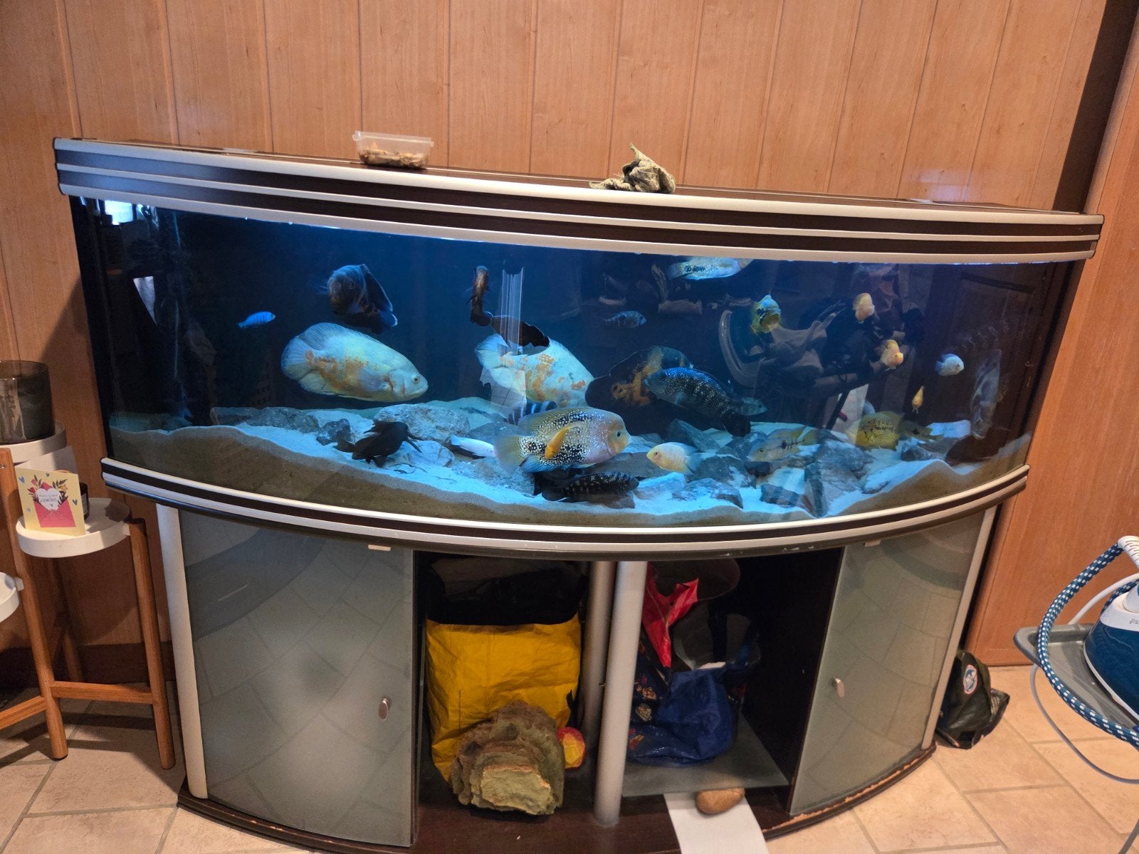 Aquarium, Dieren en Toebehoren, Vissen | Aquaria en Toebehoren, Ophalen, Verwarming