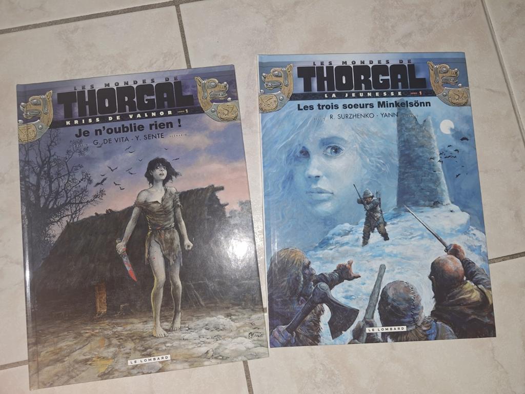 Lot de 2 Bd Le Monde Thorgal pour 10€, Plusieurs BD, Enlèvement, Utilisé