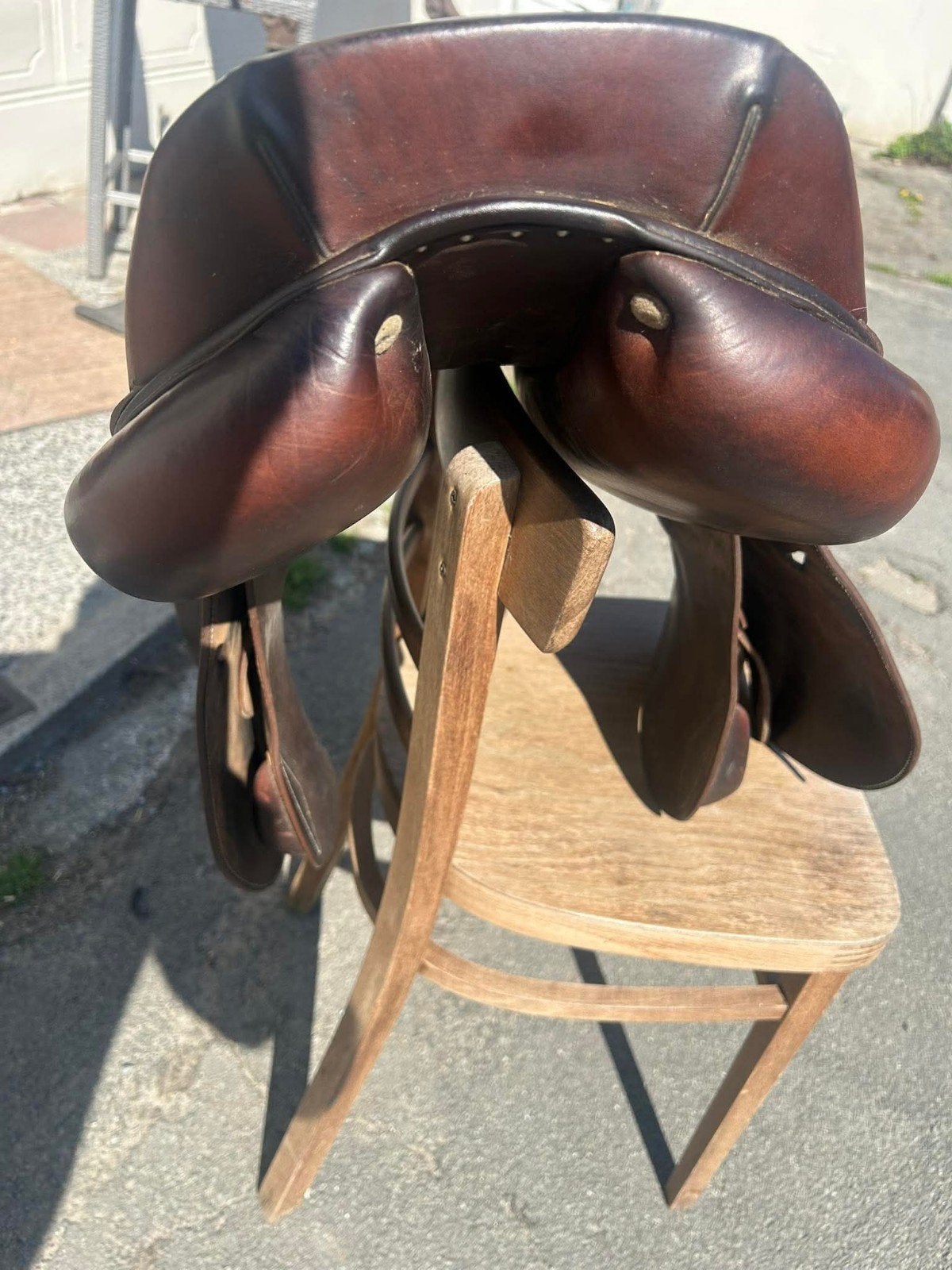 Selle Antares 2018, Étriers inclus, Concours complet, L (17.5 pouces), Enlèvement