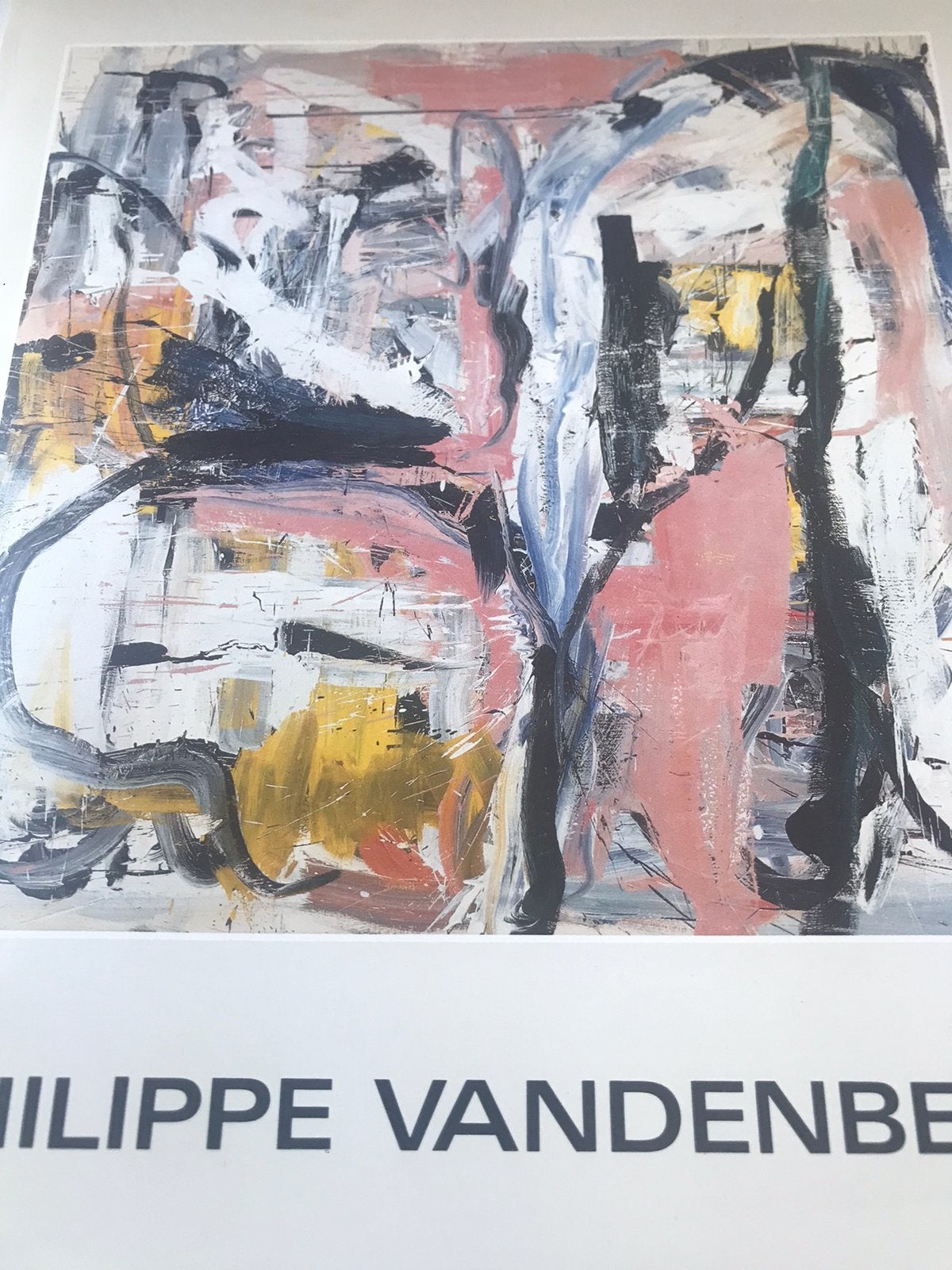 Philippe Vandenberg schilderijen jaren 80, 30pag, Ophalen of Verzenden, Zo goed als nieuw, Schilder- en Tekenkunst