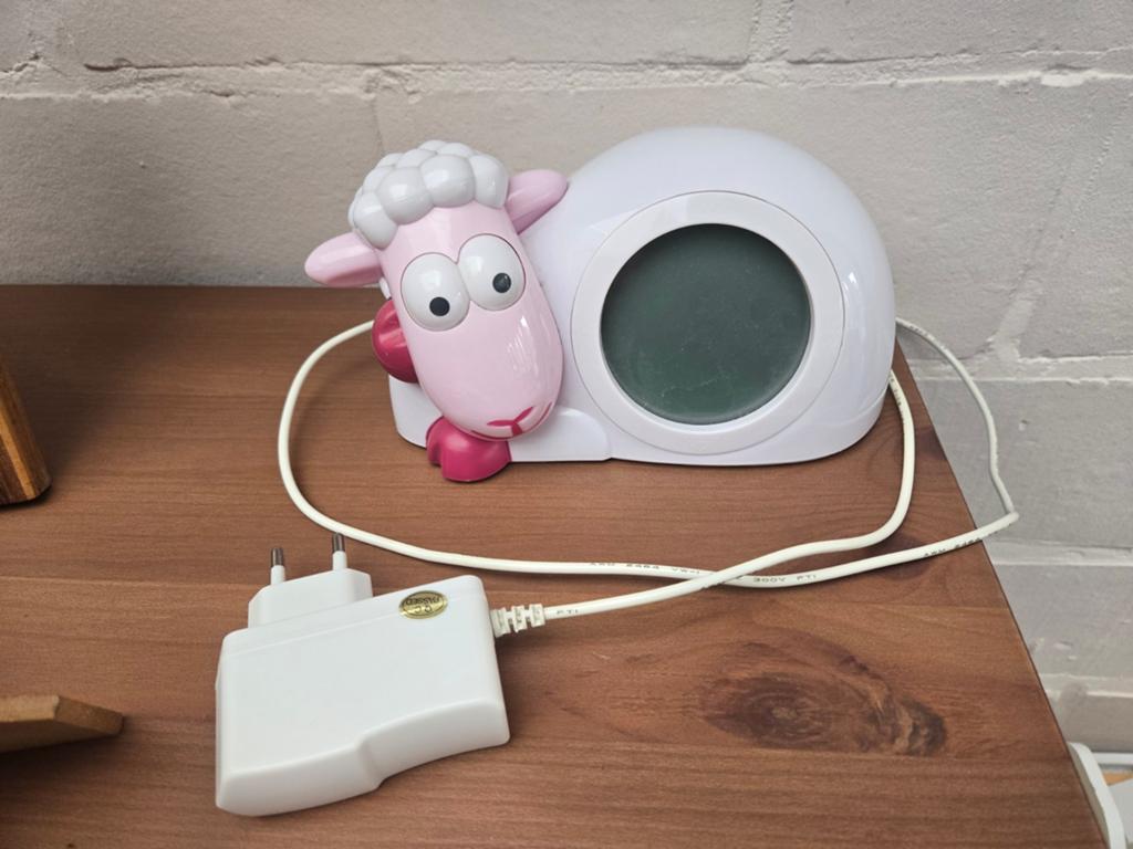 Wekker voor schapen voor kinderen, Ophalen