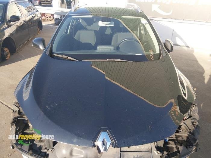 Pare-brise d'un Renault Megane, -, Renault, -, 3 mois de garantie
