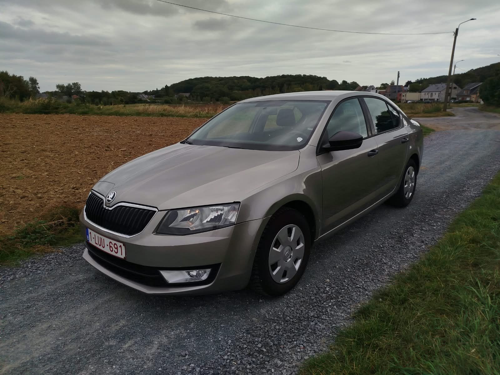 skoda Octavia, Voorwielaandrijving, Zwart, 4 cilinders, Beige