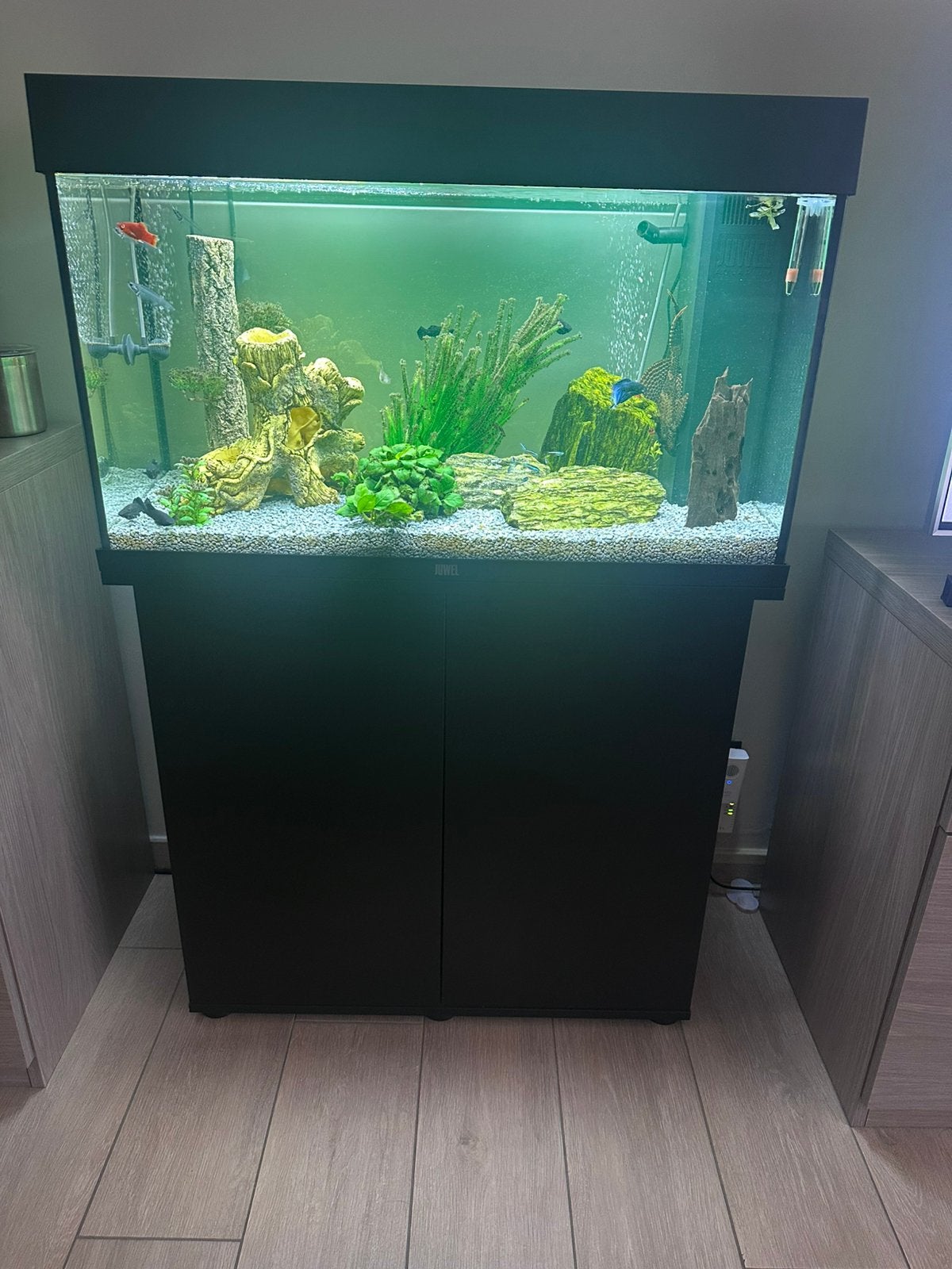 Juwel Rio 125 met meubel decoratie en garantie, Dieren en Toebehoren, Ophalen, Zo goed als nieuw, Gevuld zoetwateraquarium, Juwel