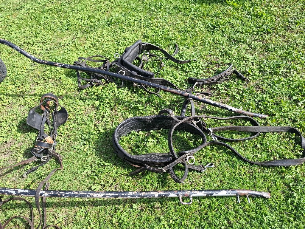 Paardenkoets bruin, Gebruikt, Overige typen, Paard of Pony