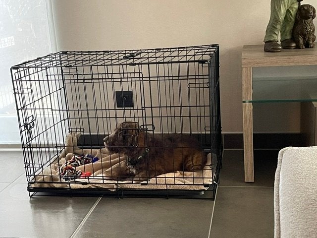 bench voor puppy, Dieren en Toebehoren, Ophalen, Zo goed als nieuw