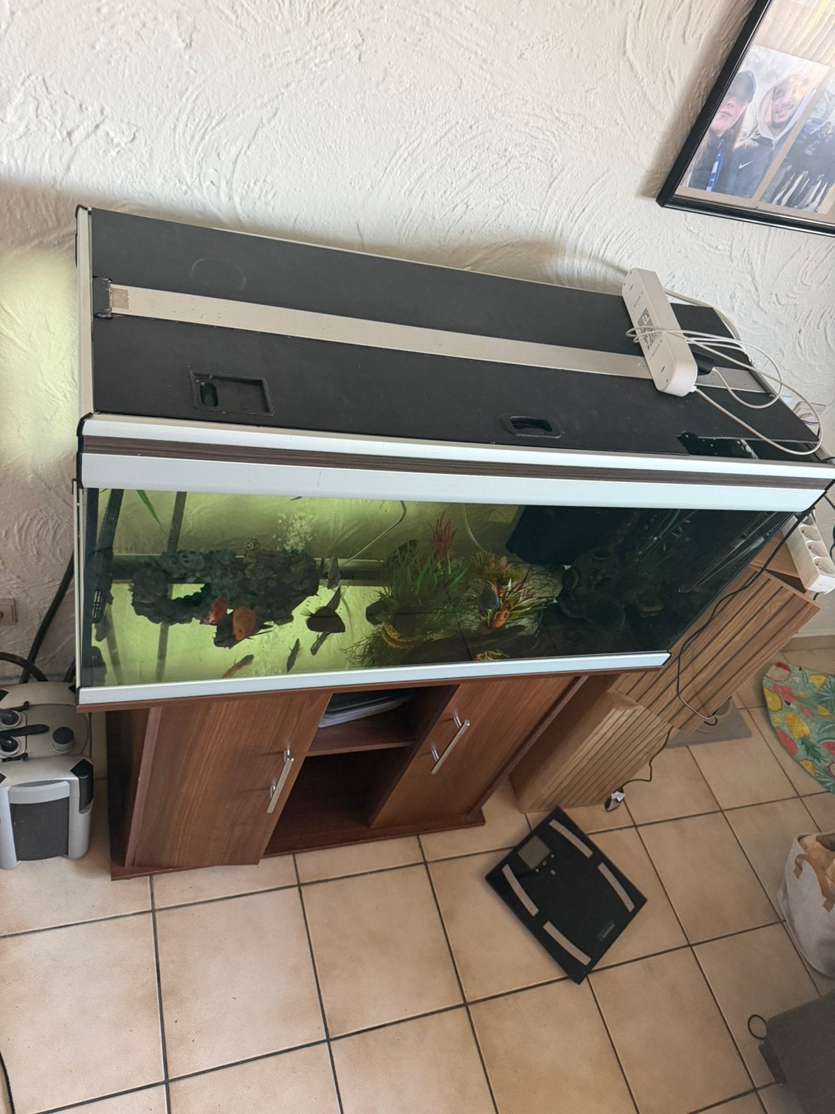 Aquarium 200l, Animaux & Accessoires, Enlèvement ou Envoi, Comme neuf