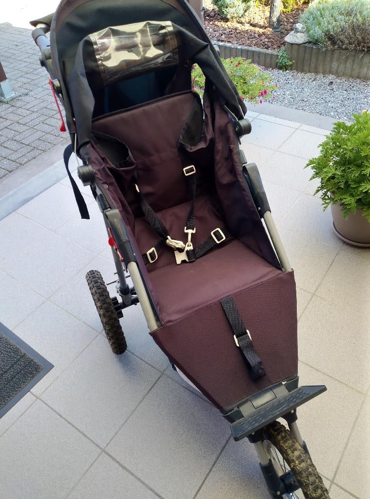 Buggy, Ophalen, Gebruikt, Verstelbare rugleuning
