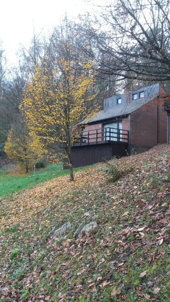 vakantie, Vakantie, Vakantiehuizen | België, Landelijk, In bos, Chalet, Bungalow of Caravan, Open haard