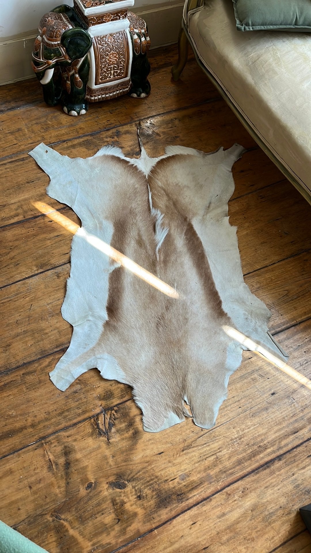 Zeer nette vacht van een springbok dierenhuid vel vacht, Huis en Inrichting, Ophalen of Verzenden, Gebruikt