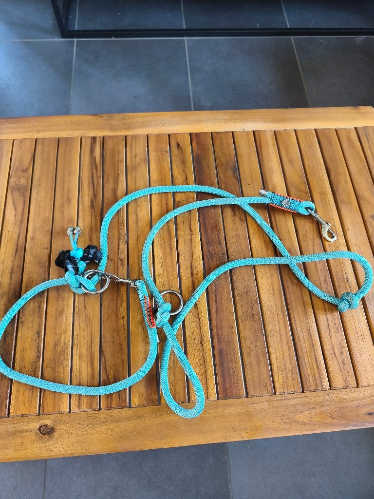 Laisse couleur turquoise et orange, Enlèvement ou Envoi, Neuf, Laisse pour chien