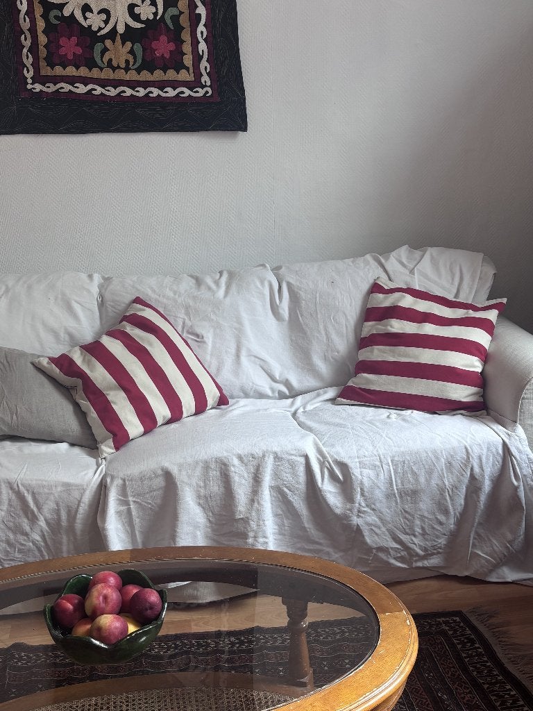 deux coussins, Rouge, Coussin décoratif, Enlèvement, Housse amovible