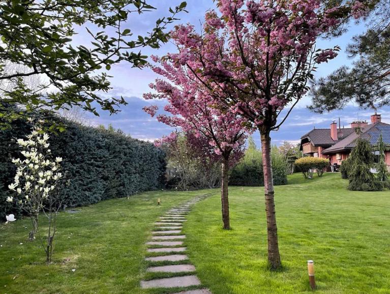 Tuinaanleg en tuinonderhoud – totaalservice, Diensten en Vakmensen, Tuinmannen en Stratenmakers, Bestrating, Hekwerk of Schuttingen