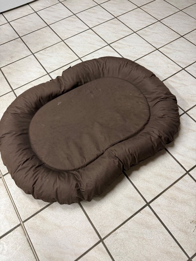 Grand coussin imperméable  déhoussable chien, Enlèvement, Comme neuf, Autre