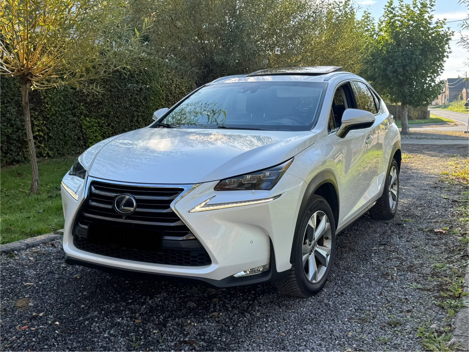 Lexus nx300h Luxury President | Option complète, Autos, Cuir, Achat, Euro 6, Entreprise