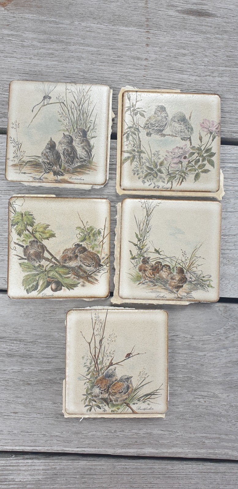 Wandtegel 5 stuks met vogeltjes, Doe-het-zelf en Bouw, Ophalen, Gebruikt, Wandtegels