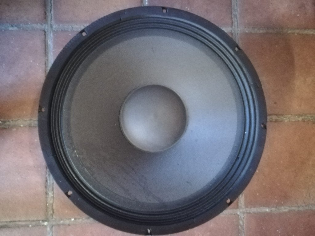 Luidspreker 12inch 100W RMS, Audio, Tv en Foto, Luidsprekerboxen, Overige merken, Gebruikt, Overige typen, Ophalen of Verzenden