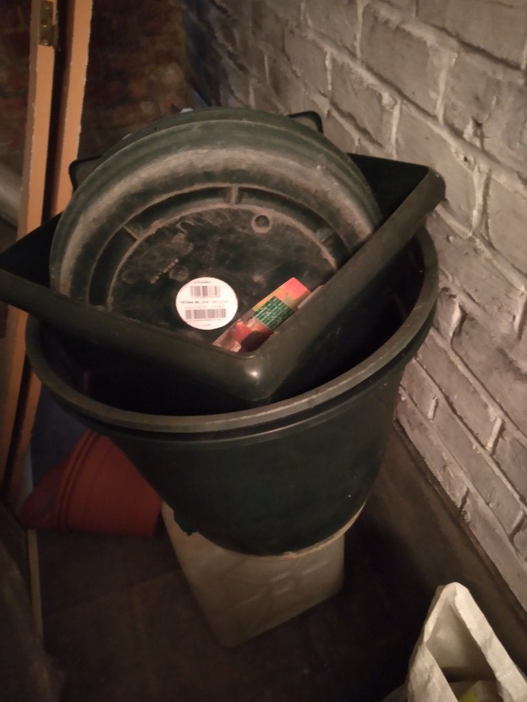 pot plante, Enlèvement, Utilisé, Vert, Plastique