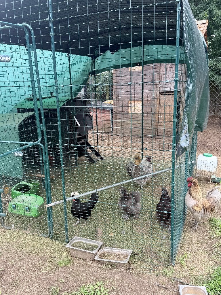 Kippenhok, Dieren en Toebehoren, Pluimvee | Toebehoren, Ophalen