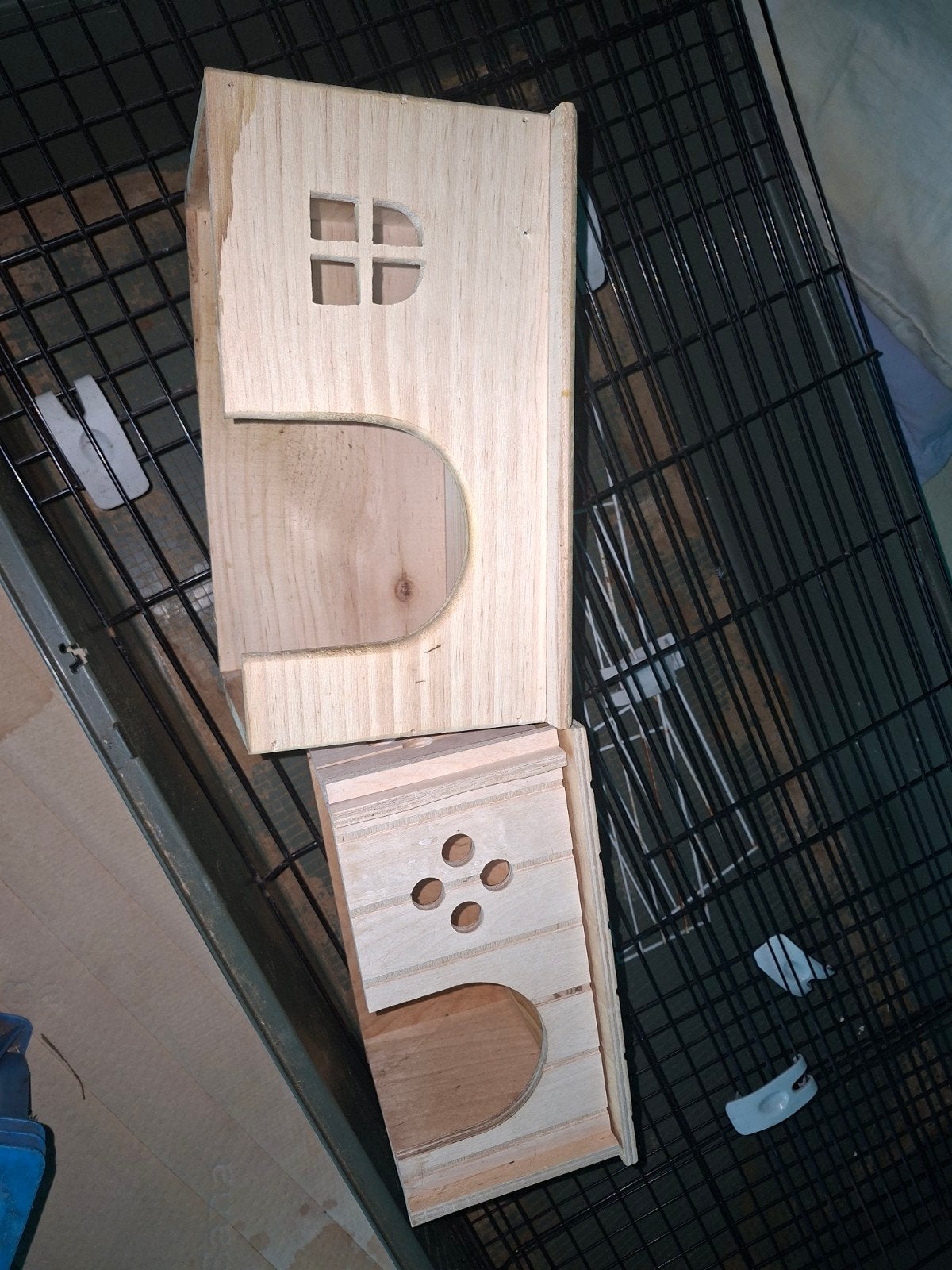 Cavias spullen, Animaux & Accessoires, Rongeurs, Juillet, Sexe inconnu, Autres types