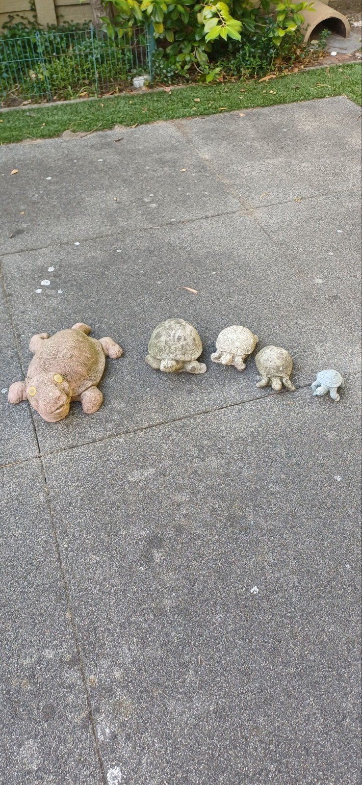 Betonnen schildpadden, Ophalen