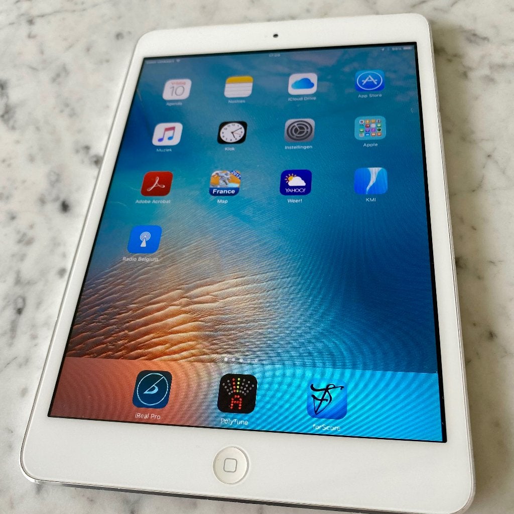 iPad, Computers en Software, Apple iPads, 10 inch, Gebruikt, 32 GB, Apple iPad