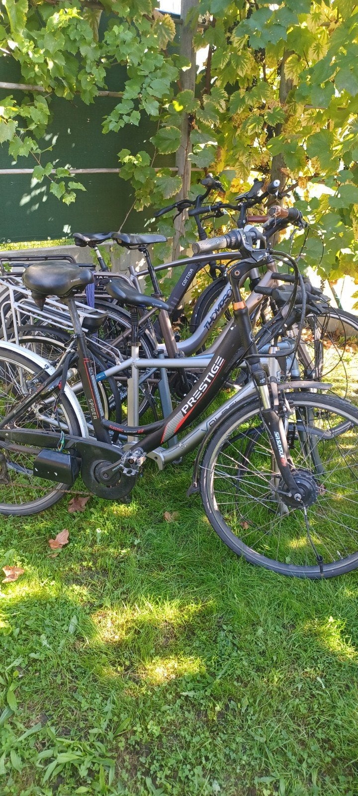 Defecte elektrische fietsen, Enlèvement